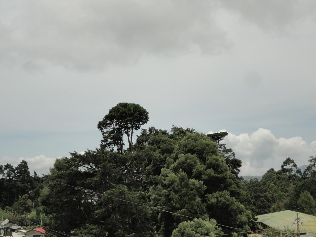 Srihelyes Inn Nuwara Eliya Exterior photo